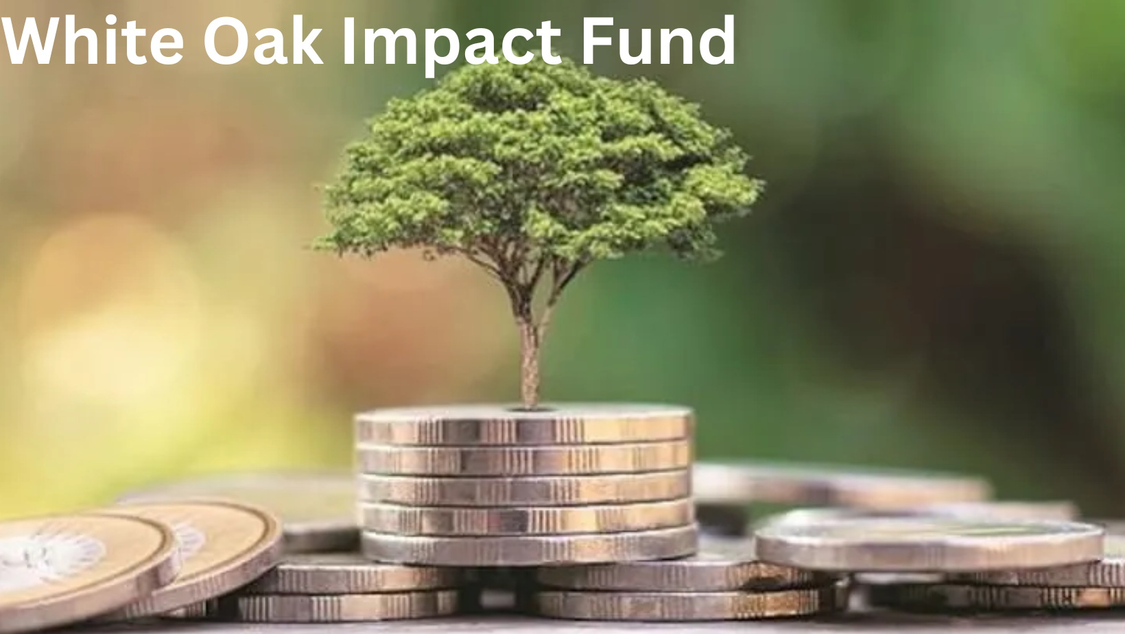 White Oak Impact Fund