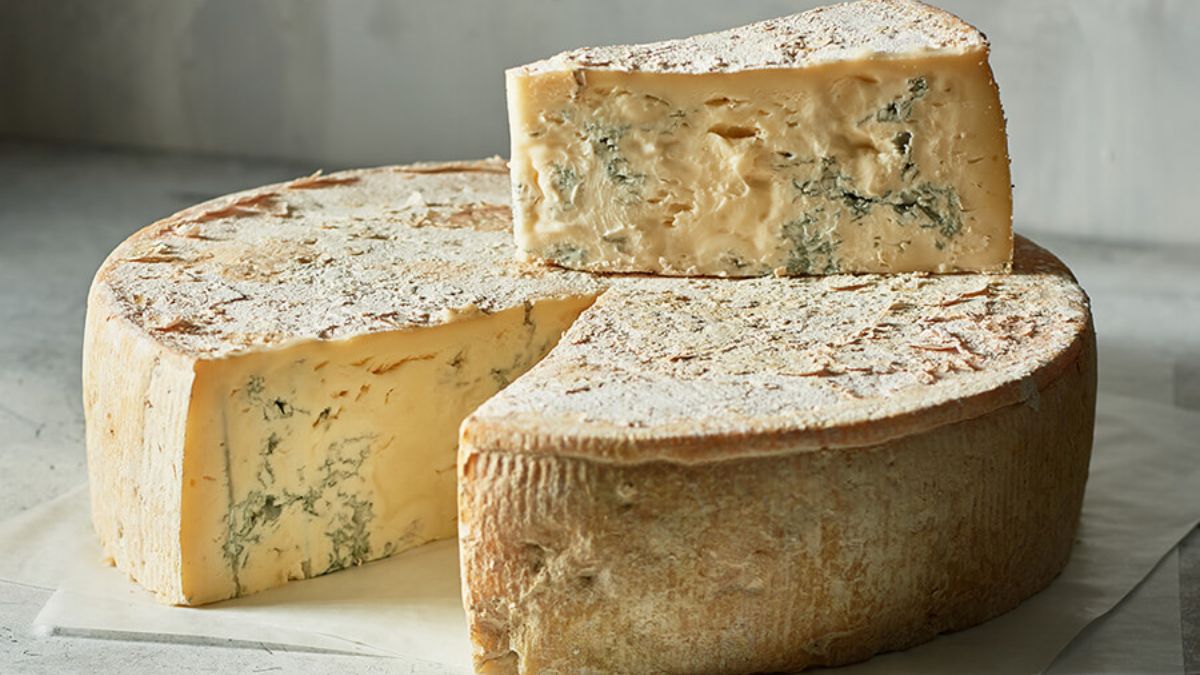 Masgonzola